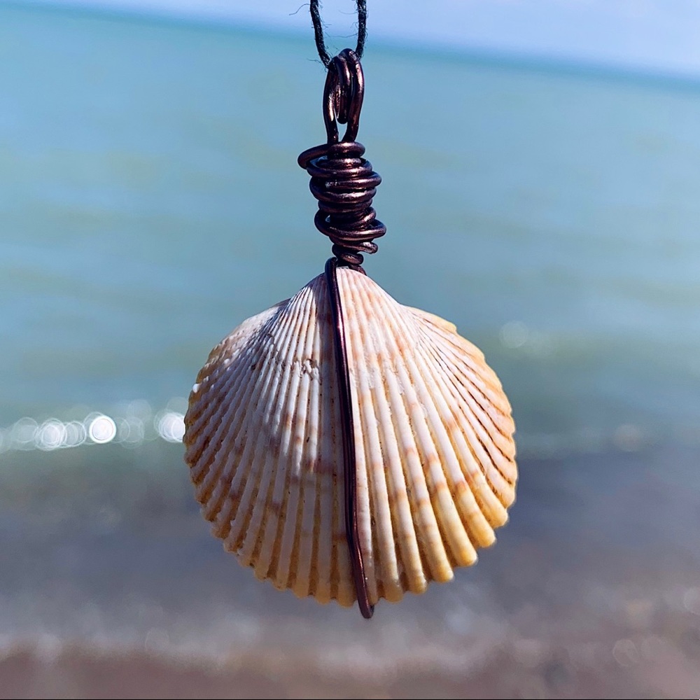 Sunshine State Seashell Necklace - Picture 1 of 6